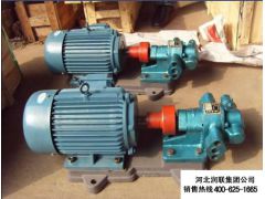 山西忻州抽油泵輸油齒輪泵批發 液壓齒輪泵和雙向齒輪泵機械廠